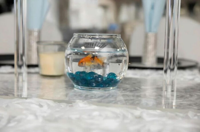 Goldfish in a centerpiece bowl on a wedding table, symbolizing potential red flag decorations.