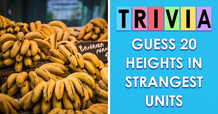 Only A True Measurement Master Can Guess These 20 Wacky Size Comparisons