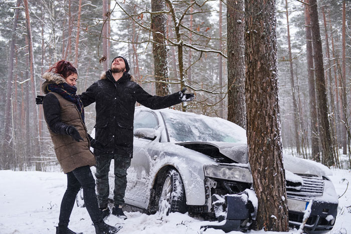 A car crashed into a tree in a snowy forest, with two people expressing frustration.