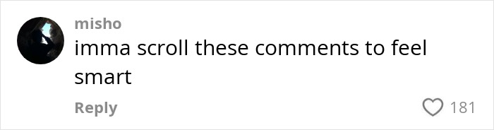 Comment on AI's environmental impact with 181 likes.