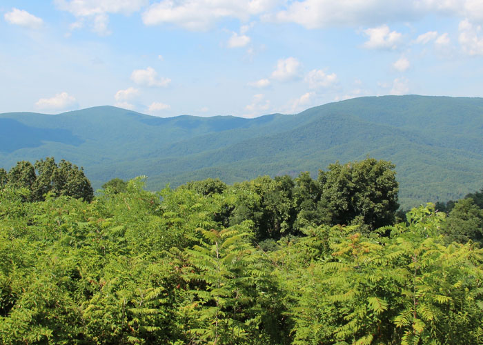 A scenic view of lush green hills under a blue sky, representing the mystery of small towns.