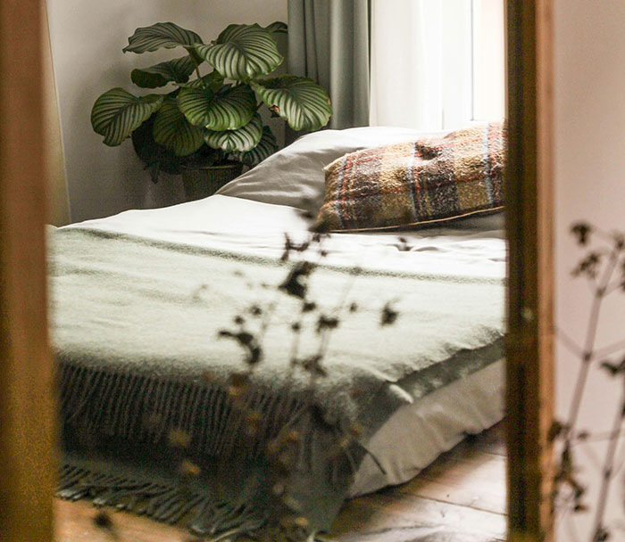 Habitación relajante con cama y planta, evocando tranquilidad para personas que aún siguen vivas gracias a decisiones espontáneas.