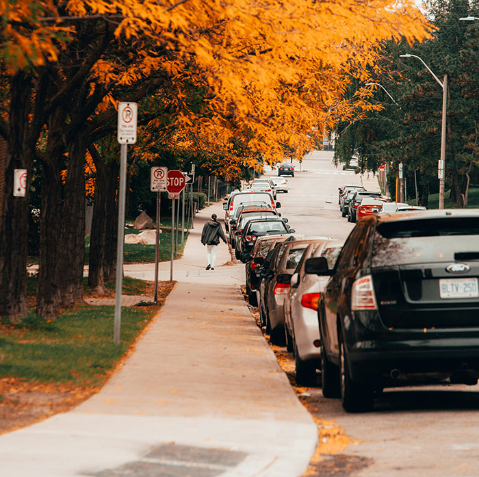 A street lined with cars and autumn trees, illustrating a peaceful urban neighborhood scene.