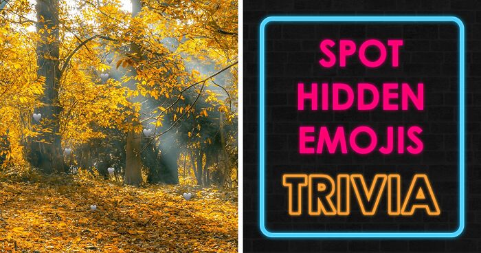 Attention & Eyesight Are Mandatory To Pass This Quiz: Spot The Hidden Emojis In Images