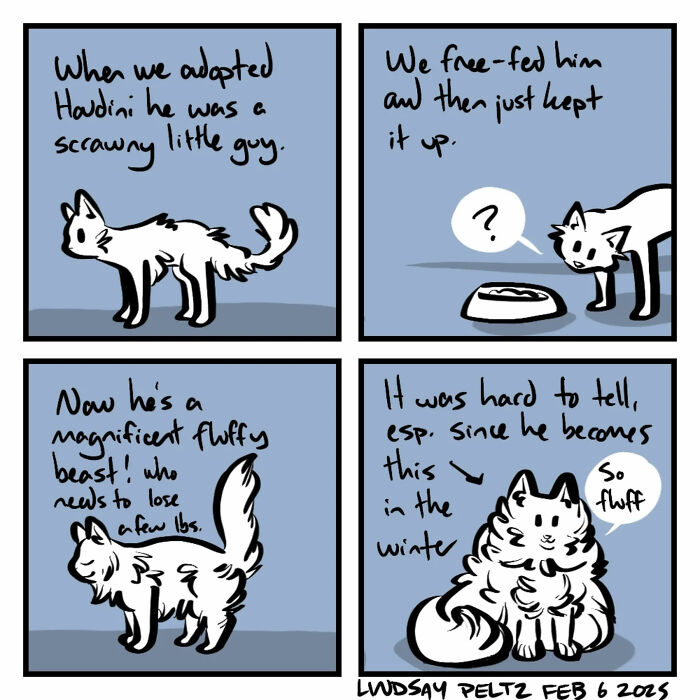 Comic showing a cat's transformation from scrawny to fluffy, capturing life's relatable struggles with pet weight.
