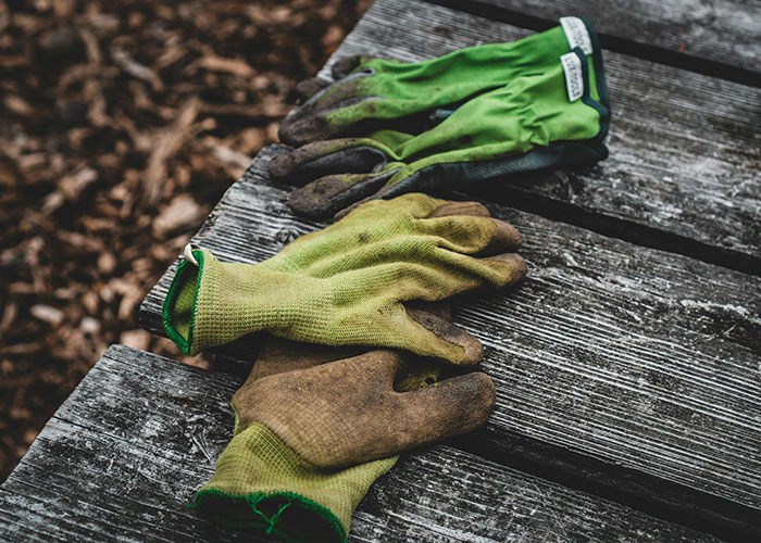 Green garden gloves on a wooden table, representing bizarre gym stories.