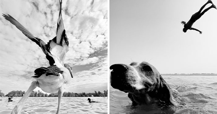 This Photographer Finds Just The Perfect Timing For Her B&W Photos, And Here’s 30 Of Them