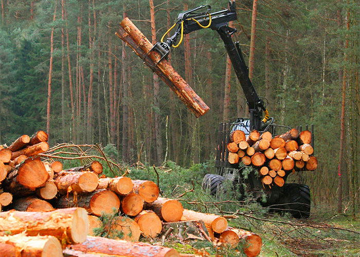 Machine stacking logs in a forest, highlighting reasons for legal disputes.