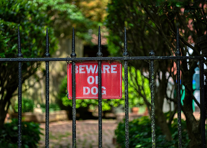 Iron gate with a "Beware of Dog" sign, highlighting reasons people sue.