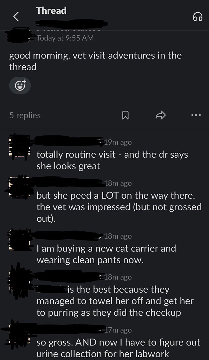 Text thread humor: Describing a chaotic vet visit and cat mishap.