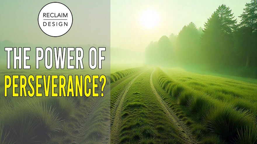 What If Everything You Know About Success Is A Lie?