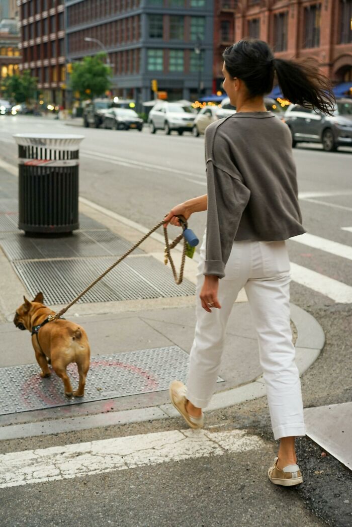 Person walking a bulldog on a city street, capturing everyday moments that lived up to the hype.