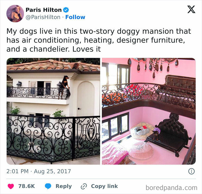 Luxury two-story dog mansion with designer furniture and chandelier, showcasing celebrity extravagance.