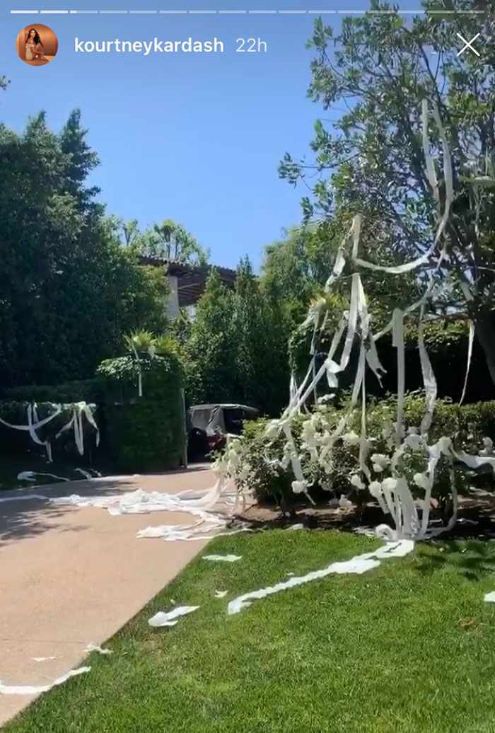 Driveway and trees covered in toilet paper, capturing a celebrity's wasteful moment.