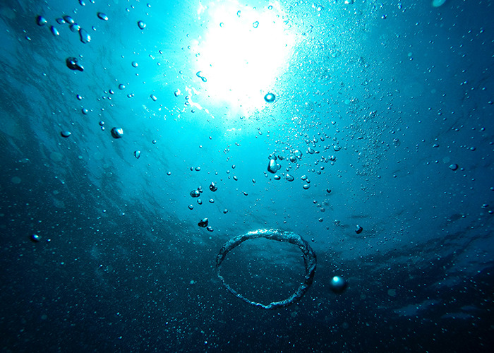 Underwater view with air bubbles rising towards sunlight, illustrating unusual facts shared by an influencer.