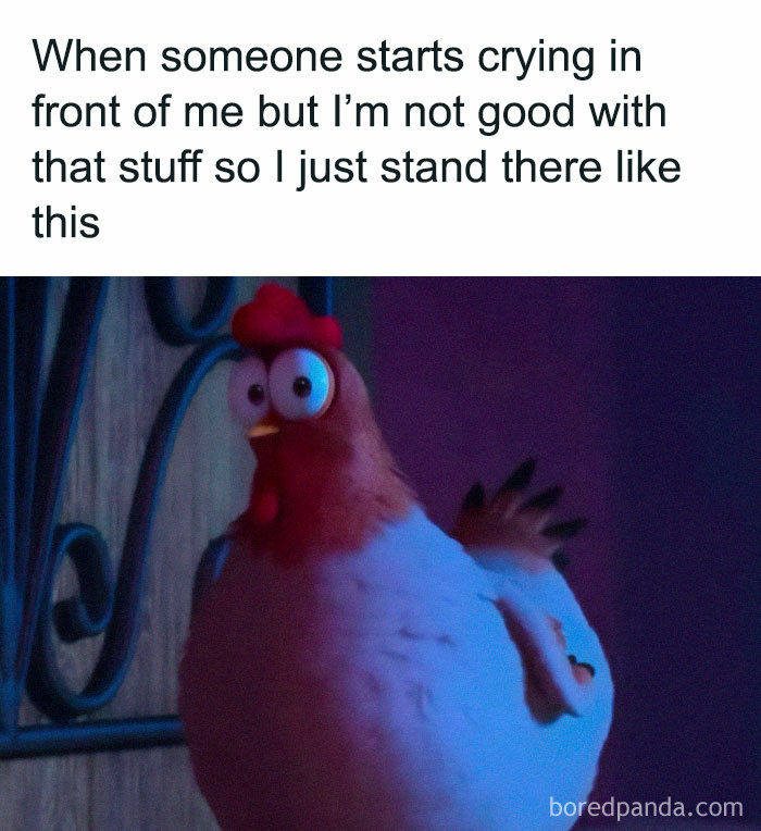 Chicken with wide eyes in a funny meme situation, looking awkwardly as someone cries nearby.