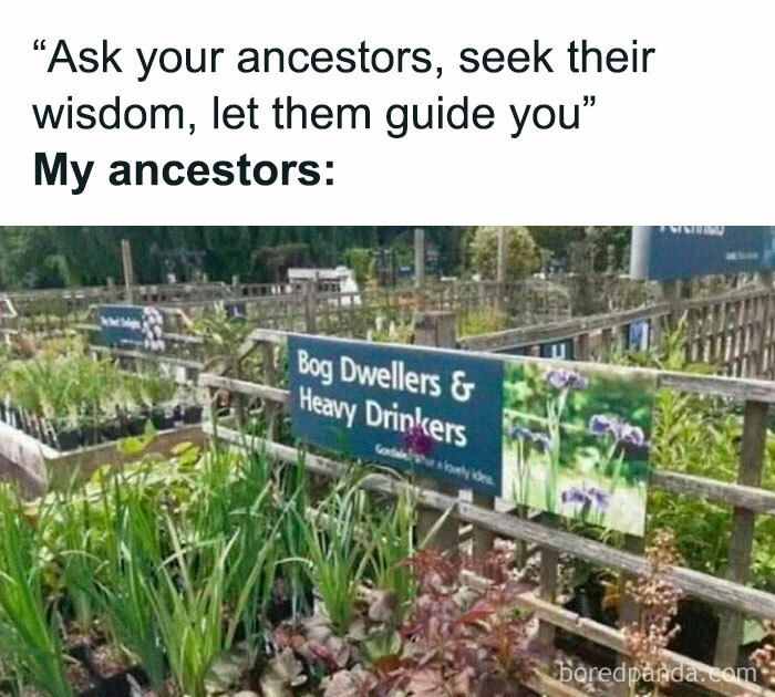 Sign reads "Bog Dwellers & Heavy Drinkers" in a garden center, with plants around. A humorous random meme.