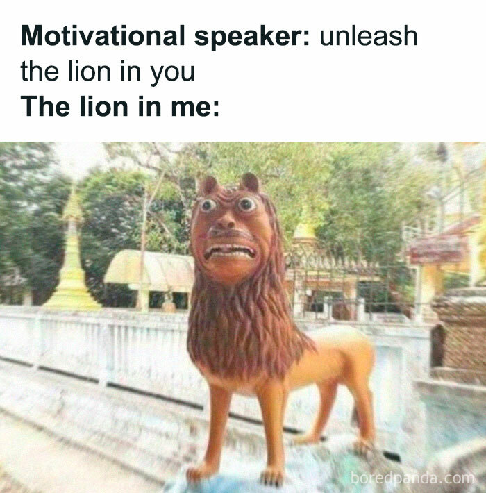 Funny random meme of a startled lion statue with text about motivational speakers.