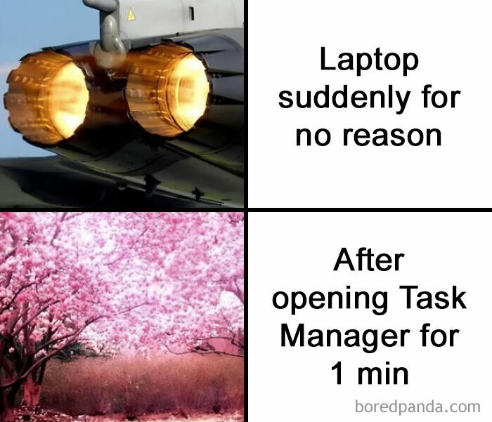 Random meme about laptops overheating, then calming down after opening Task Manager, with jet engine and cherry blossom images.