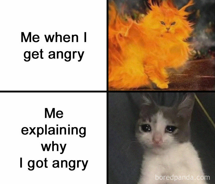A fiery cat and a sad cat meme reflecting humor on anger.