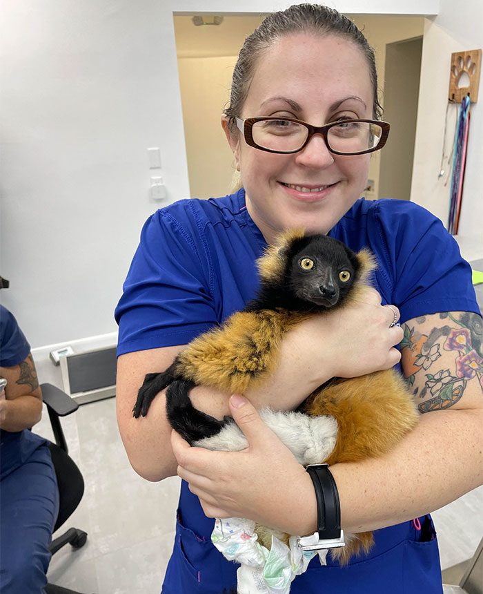 Veterinarian joyfully holding a lemur in a clinic, showcasing wholesome moments from a vet's office.