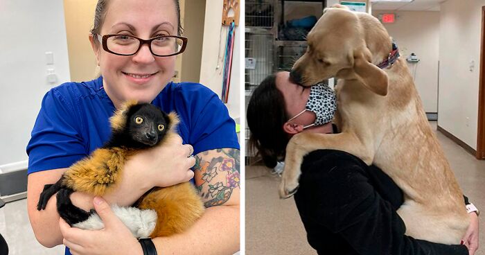 Veterinarians Share The Funniest And Strangest Moments They’ve Ever Had On The Job (New Pics)