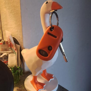 The Internet's Best Kept Secrets: 30 Bizarrely Charming Amazon Finds