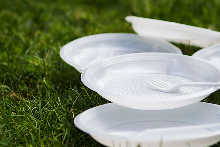 Disposable plastic plates and a fork on grass; common in USA.