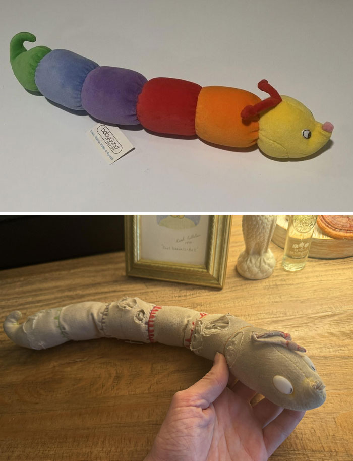 Caterpillar de juguete colorido nuevo y la misma después de desgaste con el tiempo, colocando en una mesa.