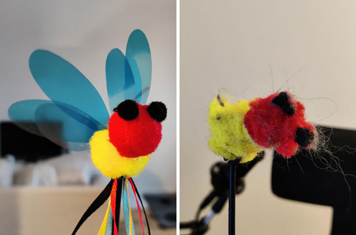 Juguete de insecto antes y después del desgaste por el tiempo.