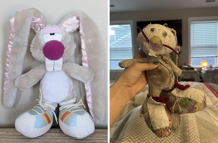Plush rabbit shows wear and tear over time; one new, one old and faded.
