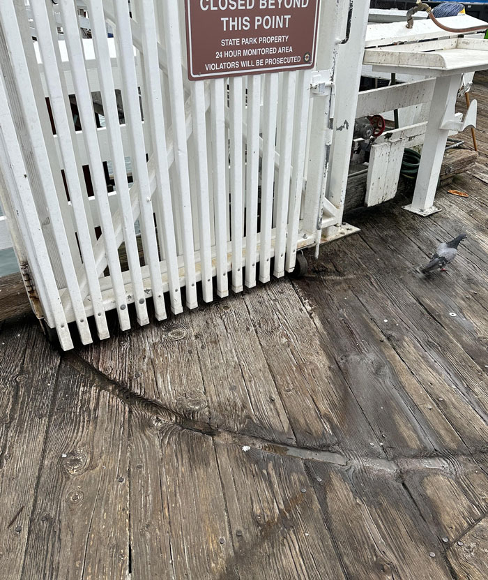 Reja de madera en un muelle, mostrando desgaste del tiempo sobre las tablas del suelo.