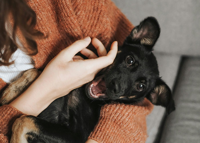 People Are Sharing What Happened To The Smartest Kids In Their Class