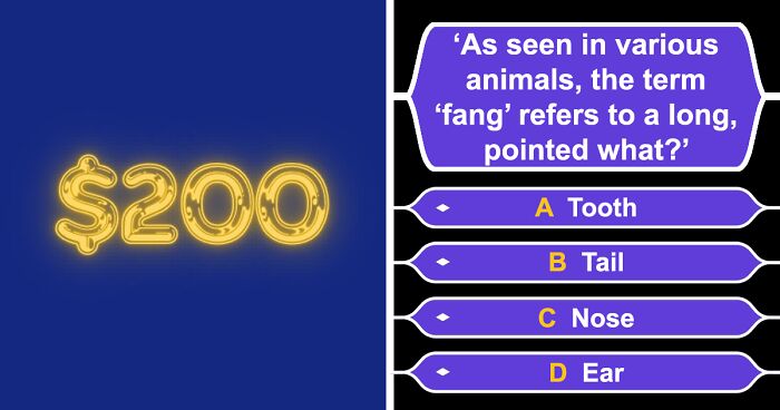 “Who Wants To Be A Millionaire” With No Lifelines: See How Much Money You’d Get