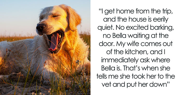 Guy Comes Back After Trip And Gets News Wife Euthanized His 12YO Dog, Is Beyond Livid