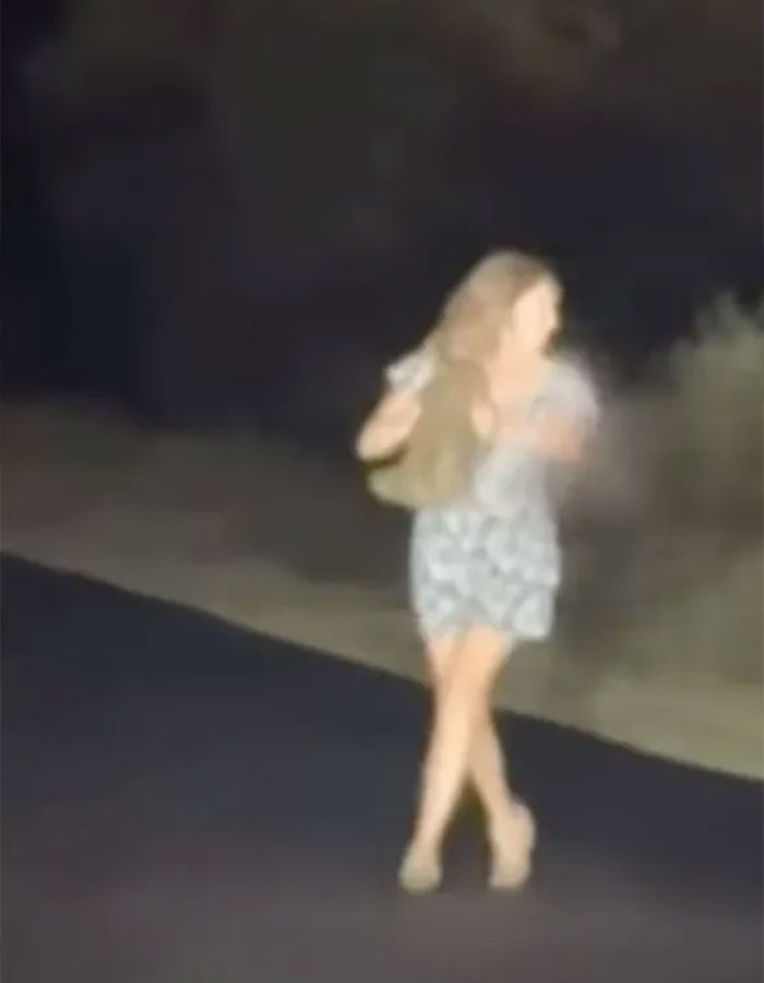 Woman holding a baby wombat at night, wearing a patterned dress, walking on a dimly lit street in Australia. Woman holding a baby wombat at night, wearing a patterned dress, walking on a dimly lit street in Australia.