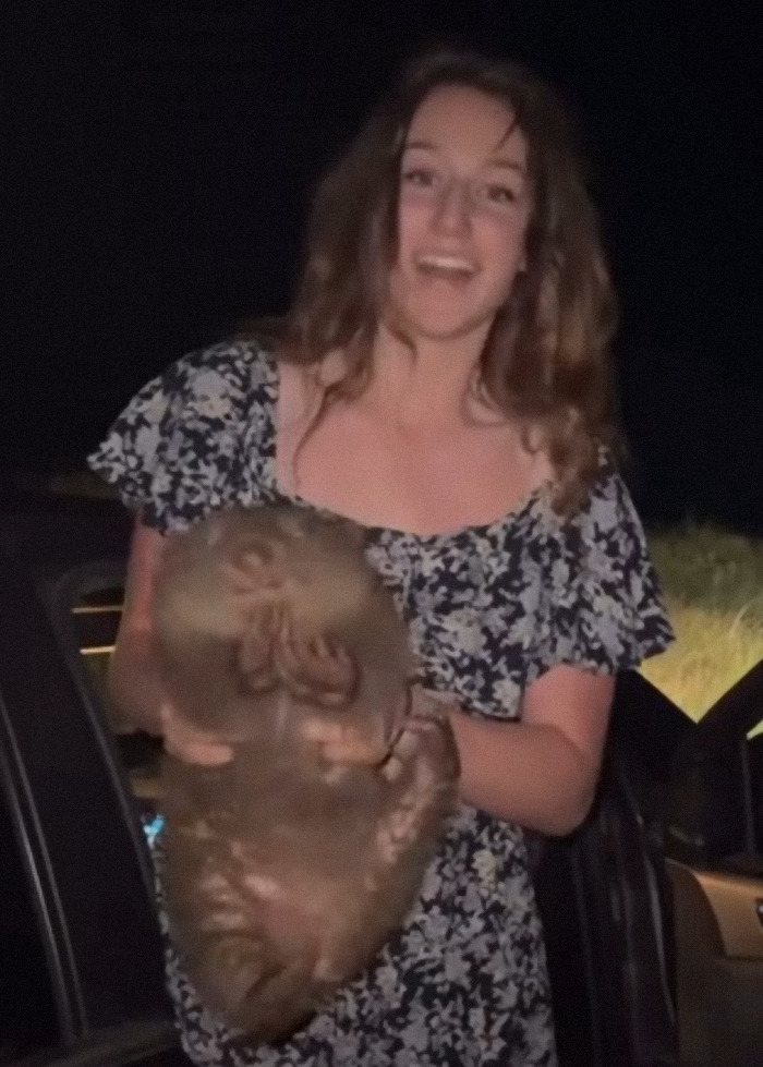 Woman holding a baby wombat at night, linked to an incident in Australia. Woman holding a baby wombat at night, linked to an incident in Australia.