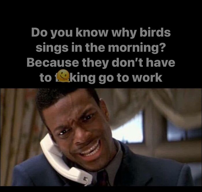 Man on phone with a frustrated expression, text above reads a humorous remark about birds and work, highlighting funny work memes.