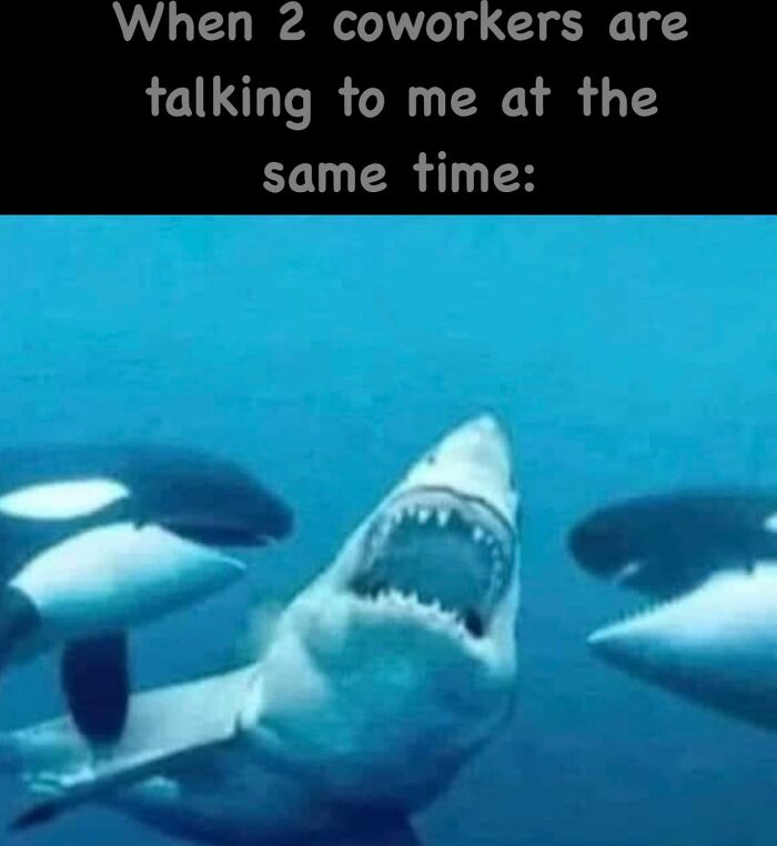 Overwhelmed and Outnumbered