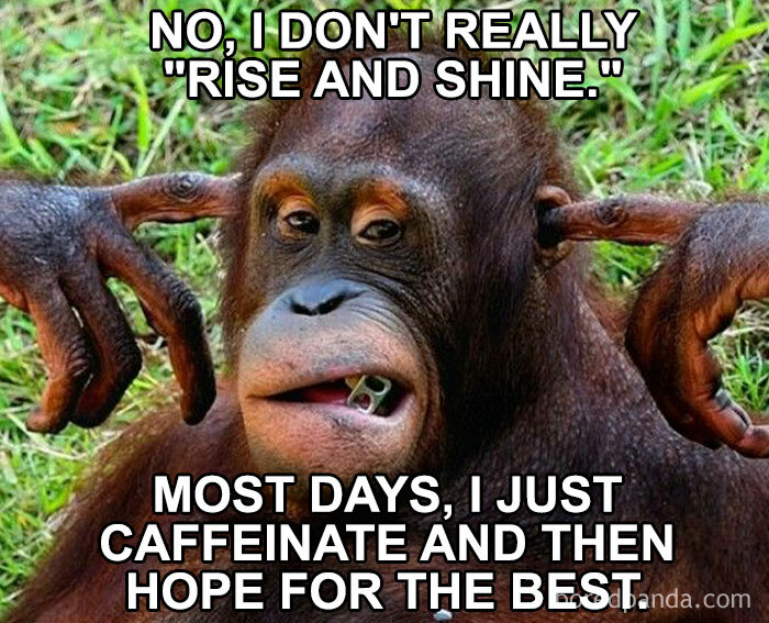 Orangutan making a funny face with text about needing caffeine instead of feeling refreshed; embodying work memes humor.