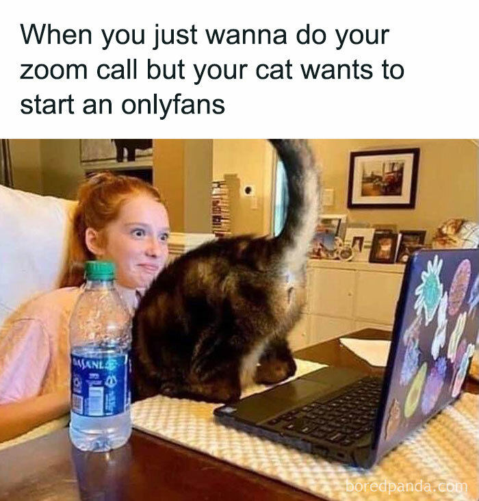 Woman humorously distracted from work by her cat during a Zoom call, highlighting funny work memes.