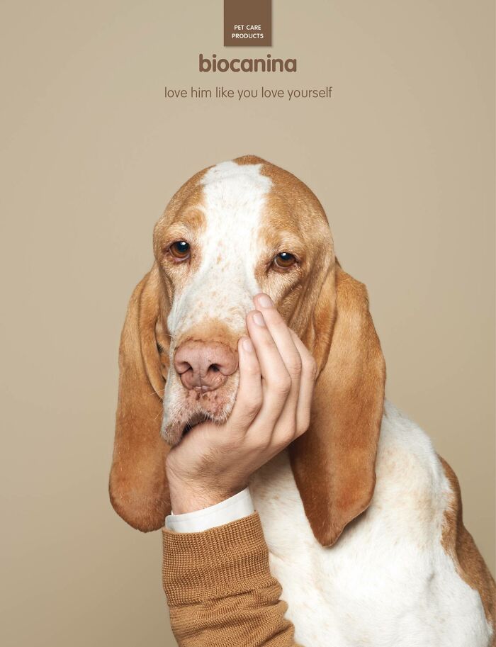 Dog with a human hand gently resting on its face. Biocanina pet care campaign promotes loving care for dogs.