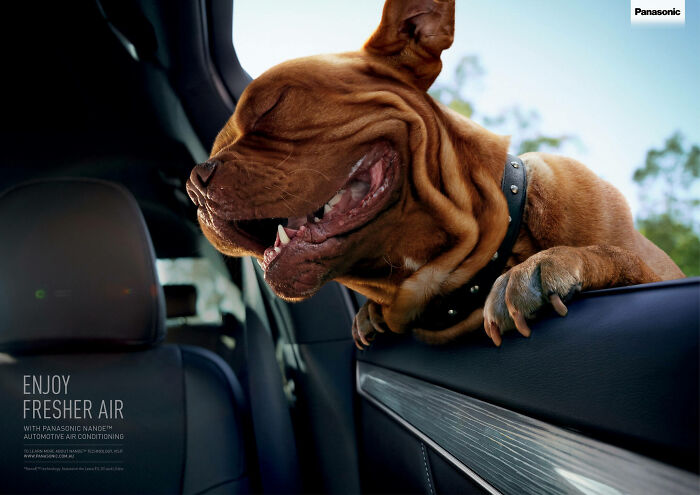 Dog enjoying fresh air through car window, promoting Panasonic automotive air conditioning campaign.