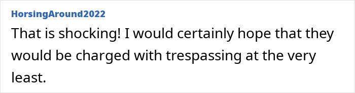 Comment discussing potential trespassing charges for neighbors in a woman's late mom's house situation.