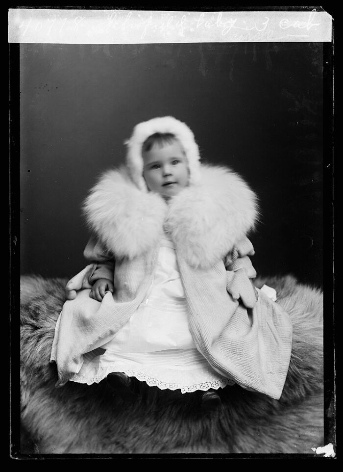 Rare photograph from history restored shows a child in fur coat seated on a furry surface from glass negatives collection.