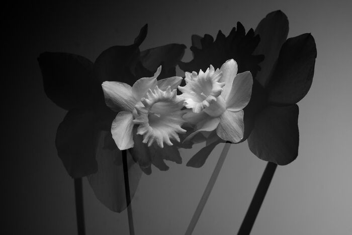 Gradient Loss - 06 March 2025 (23:07)