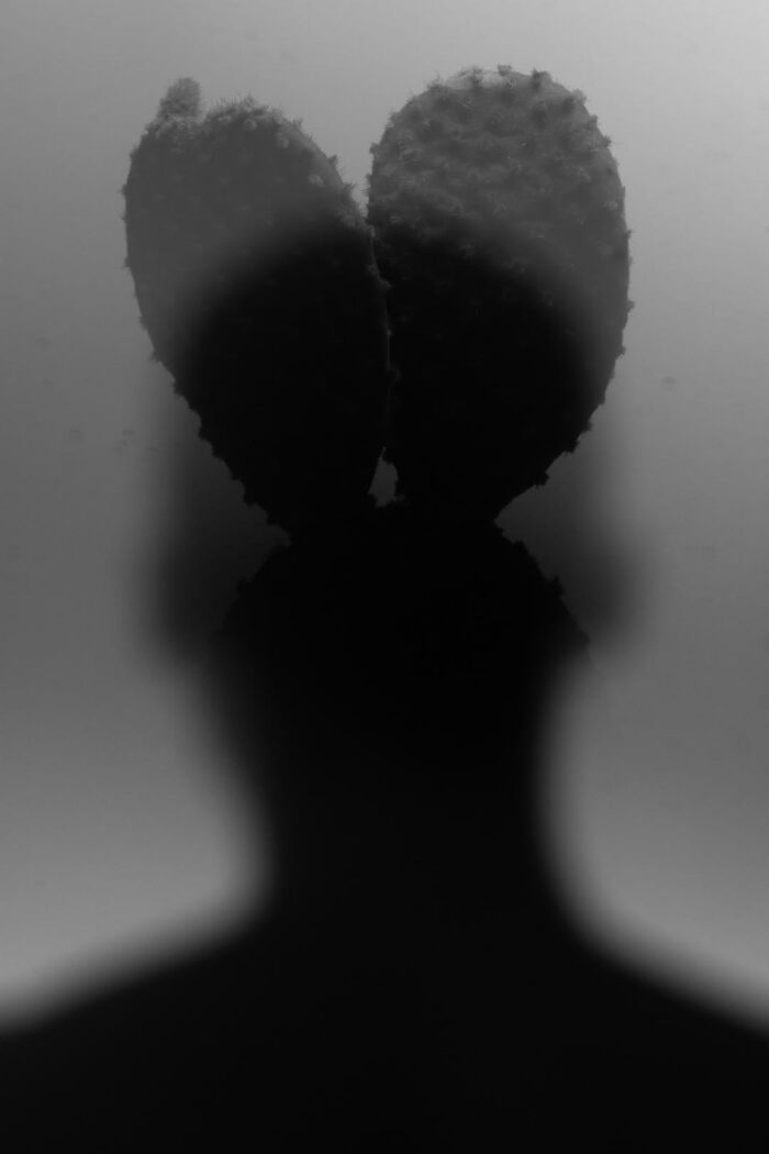 Gradient Loss - 08 April 2025 (19:59)