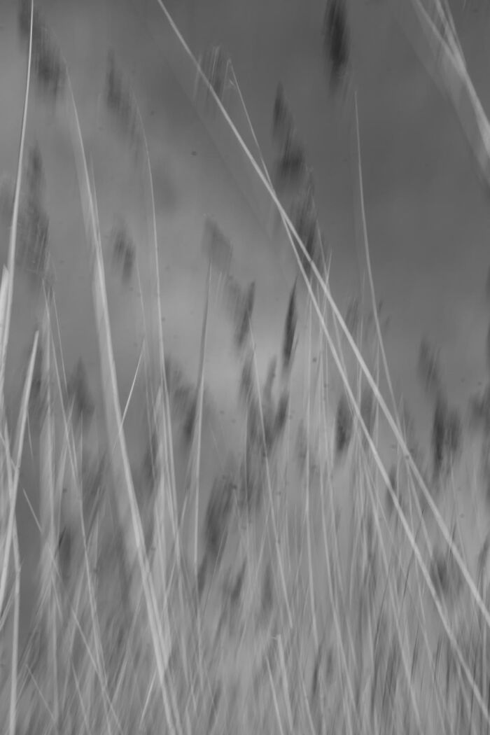 Gradient Loss - 09 March 2025 (14:36)