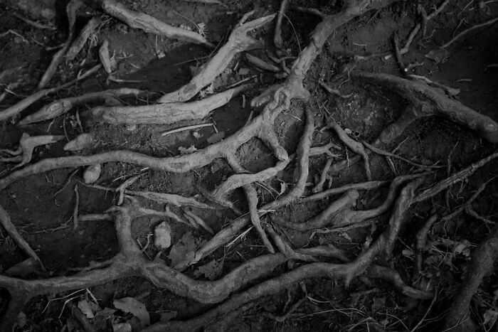 Gradient Loss - 09 March 2025 (15:31)