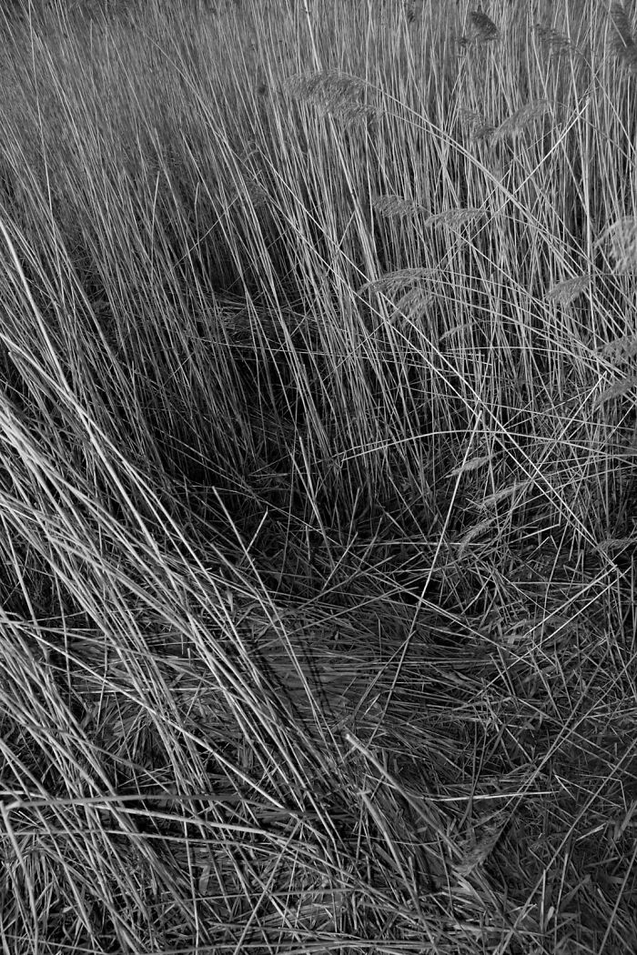 Gradient Loss - 09 March 2025 (16:08)